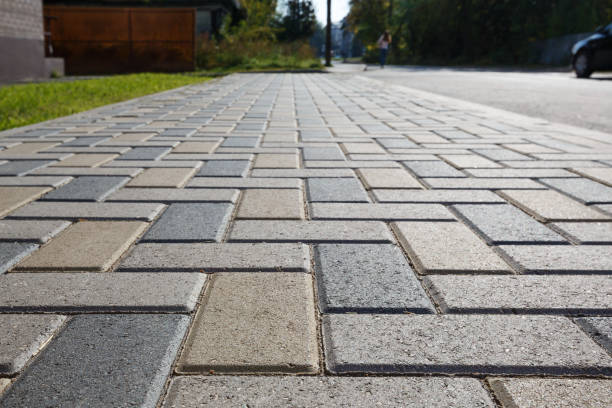Best Cobblestone Driveway Pavers  in Palm Harbor, FL