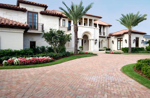 Best Local Driveway Pavers  in Palm Harbor, FL