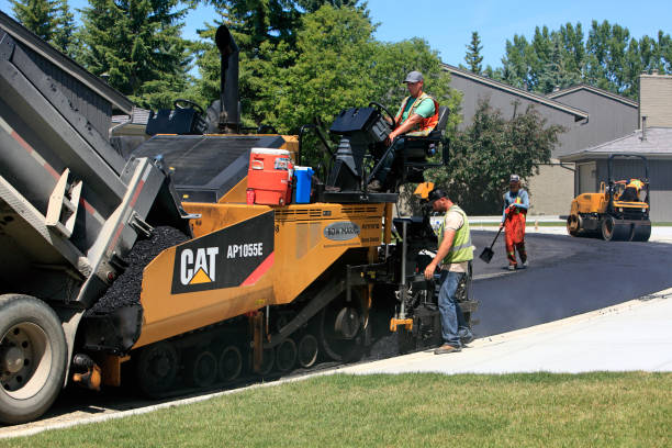 Reasons to Select Us for Your Driveway Paving Requirements in Palm Harbor, FL
